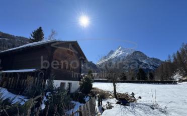 Chalet 3 Zimmer - image - 7