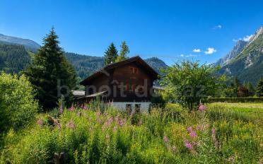 Chalet 3 Zimmer - image - 7