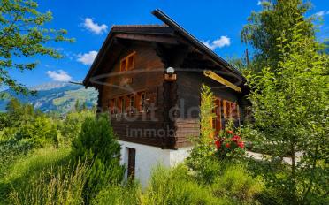 Chalet 3 Zimmer - image - 1