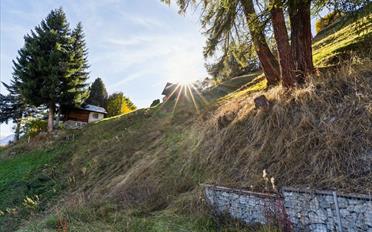 Chalet 2 Zimmer - image - 10