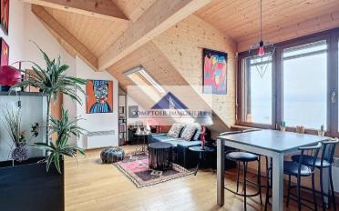 Wohnung 2.5 Zimmer - image - 1