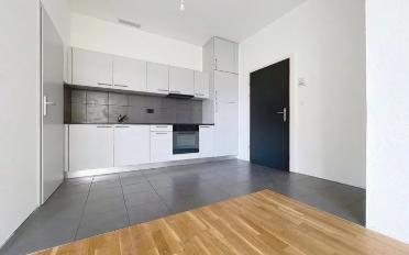 Wohnung 1.5 Zimmer - image - 4