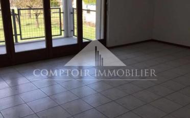 Wohnung 4.5 Zimmer - image - 2