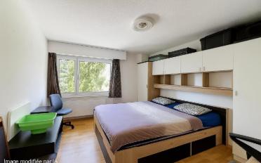 Apartment 4.5 rooms - image - 10