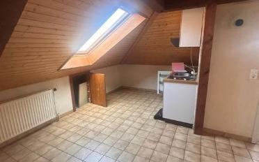 Wohnung 1.5 Zimmer - image - 1