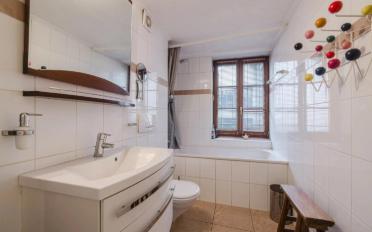 Single house 7 rooms - image - 12