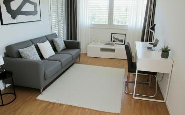 Villa 9.5 rooms - image - 9