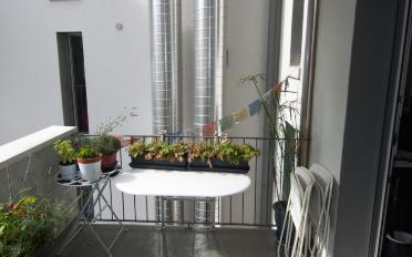 Appartement - image - 8