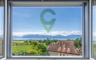 Maison 7.5 pièces - image - 9