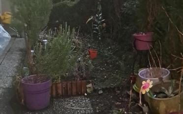 Wohnung 3.5 Zimmer - image - 2