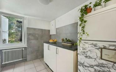 Einfamilienhaus - image - 12