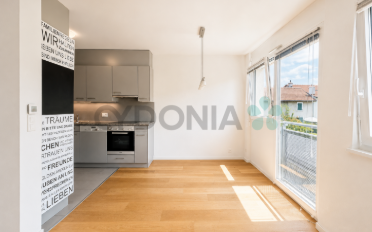 Wohnung 5 Zimmer - image - 4