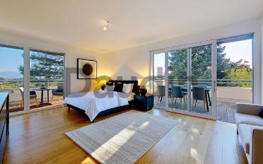 Single house 14 rooms - image - 6