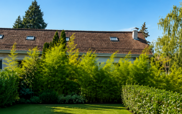 Maison jumelée 7 pièces - image - 20