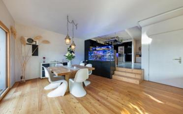 Maison 5.5 pièces - image - 5