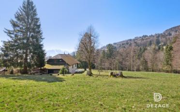 Einfamilienhaus 15 Zimmer - image - 11