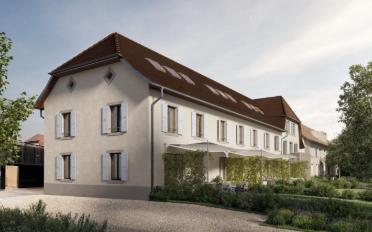 Maison contiguë - image - 6
