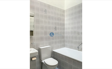 Wohnung 2.5 Zimmer - image - 3