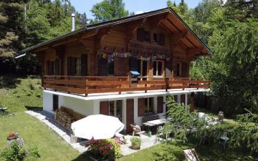 Chalet 7 rooms - image - 1