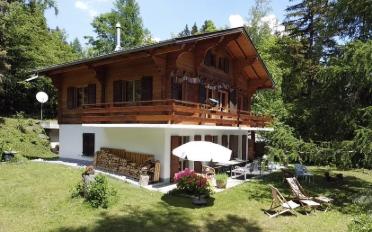 Chalet 7 rooms - image - 11
