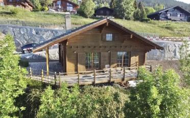 Chalet 3.5 Zimmer - image - 1
