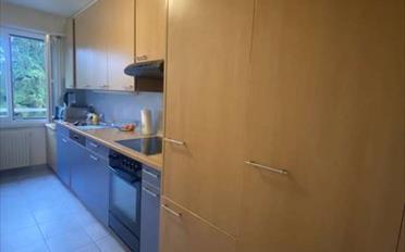 Wohnung 4.5 Zimmer - image - 2