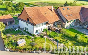 Single house 6 rooms - image - 12