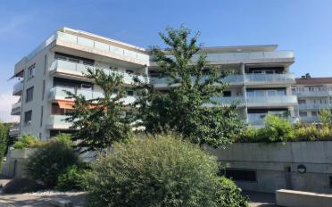 Wohnung 3.5 Zimmer - image - 1