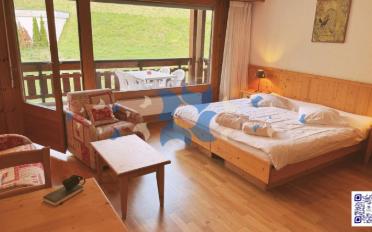 Furnished flat 1.5 rooms - image - 1