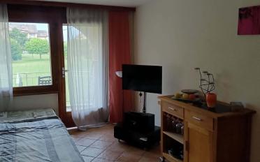 Appartement meublé 1.5 pièces - image - 6