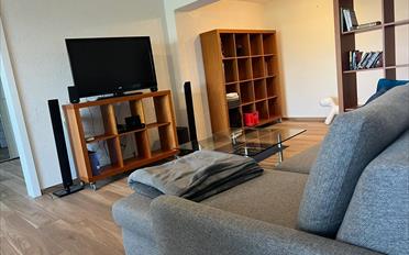 Einfamilienhaus 2.5 Zimmer - image - 4