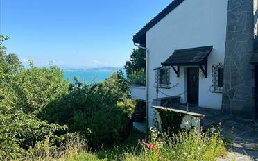 Einfamilienhaus 2.5 Zimmer - image - 9