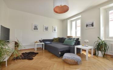 Wohnung 2.5 Zimmer - image - 1