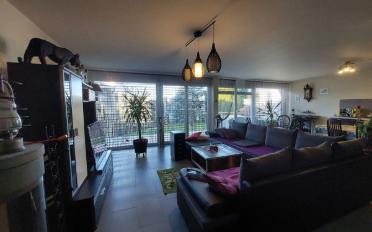 Maison - image - 5