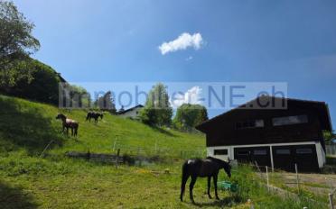Building land - image - 1