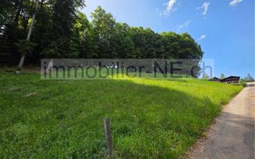 Building land - image - 1