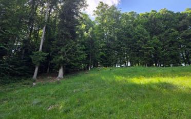 Building land - image - 2