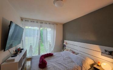 Appartement - image - 8