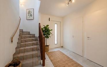 Doppeleinfamilienhaus 6.5 Zimmer - image - 2