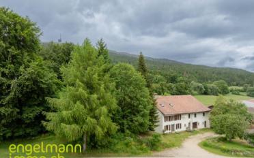 Wohnung 7 Zimmer - image - 3