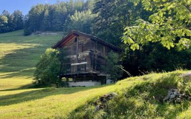 Building land - image - 3