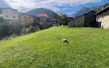 Single house - image - 9