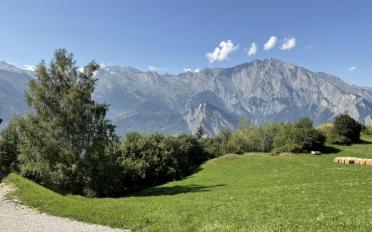 Chalet 4.5 Zimmer - image - 5