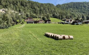 Chalet 4.5 Zimmer - image - 6