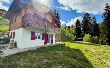 Chalet 4.5 Zimmer - image - 12