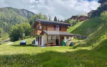 Chalet 4.5 Zimmer - image - 13