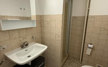 Apartment 3.5 rooms - image - 13