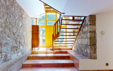Villa 7 Zimmer - image - 13