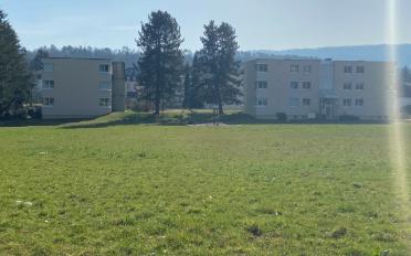 Wohnung 5 Zimmer - image - 2