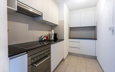 Wohnung 2.5 Zimmer - image - 4